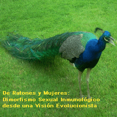 ... Shift+R improves the quality of this image. CTRL+F5 reloads the whole page. undefined